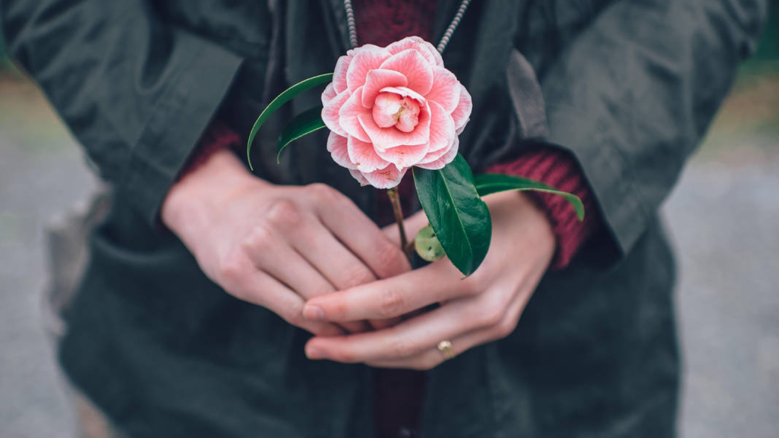 granat-gHSKwHqTnrU-unsplash-2