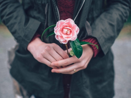 granat-gHSKwHqTnrU-unsplash-2