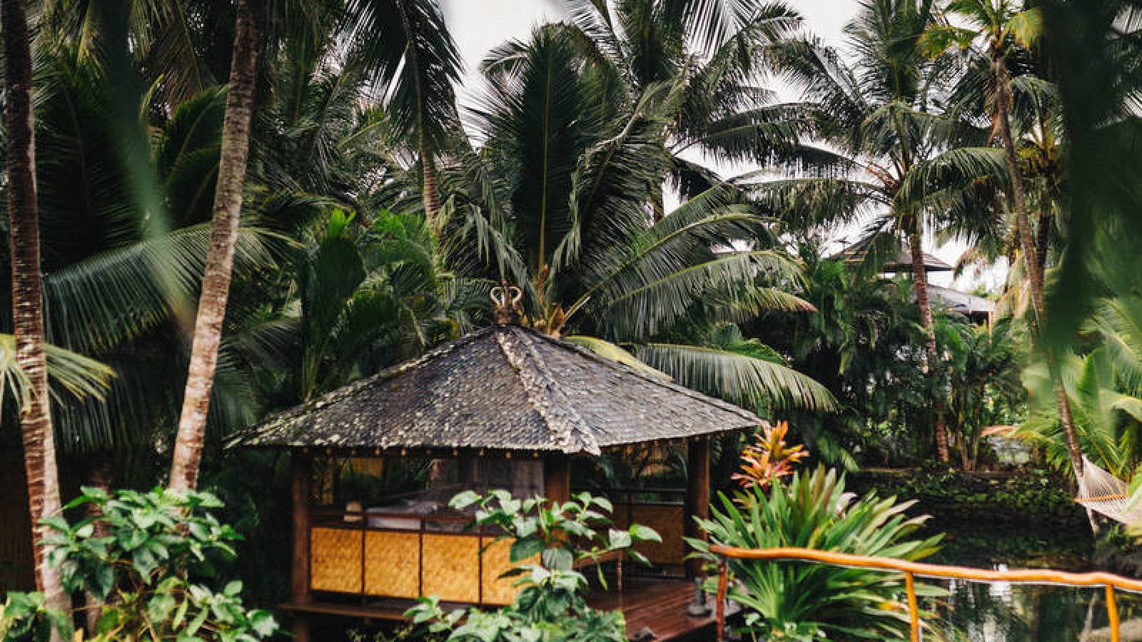 redd-f-3mWxKnqET3E-unsplash